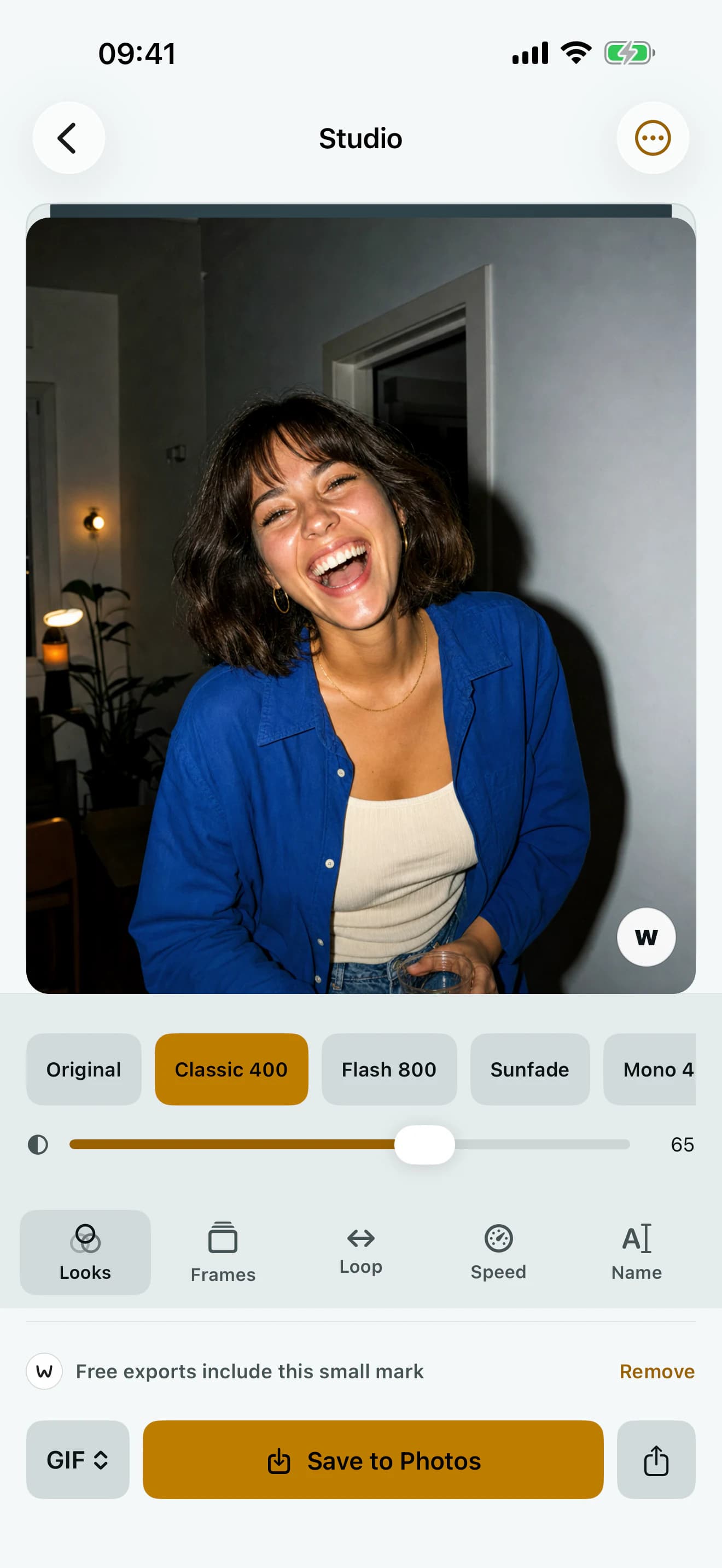 Wigglegram Studio showing a portrait, film looks, editing tools, and export controls