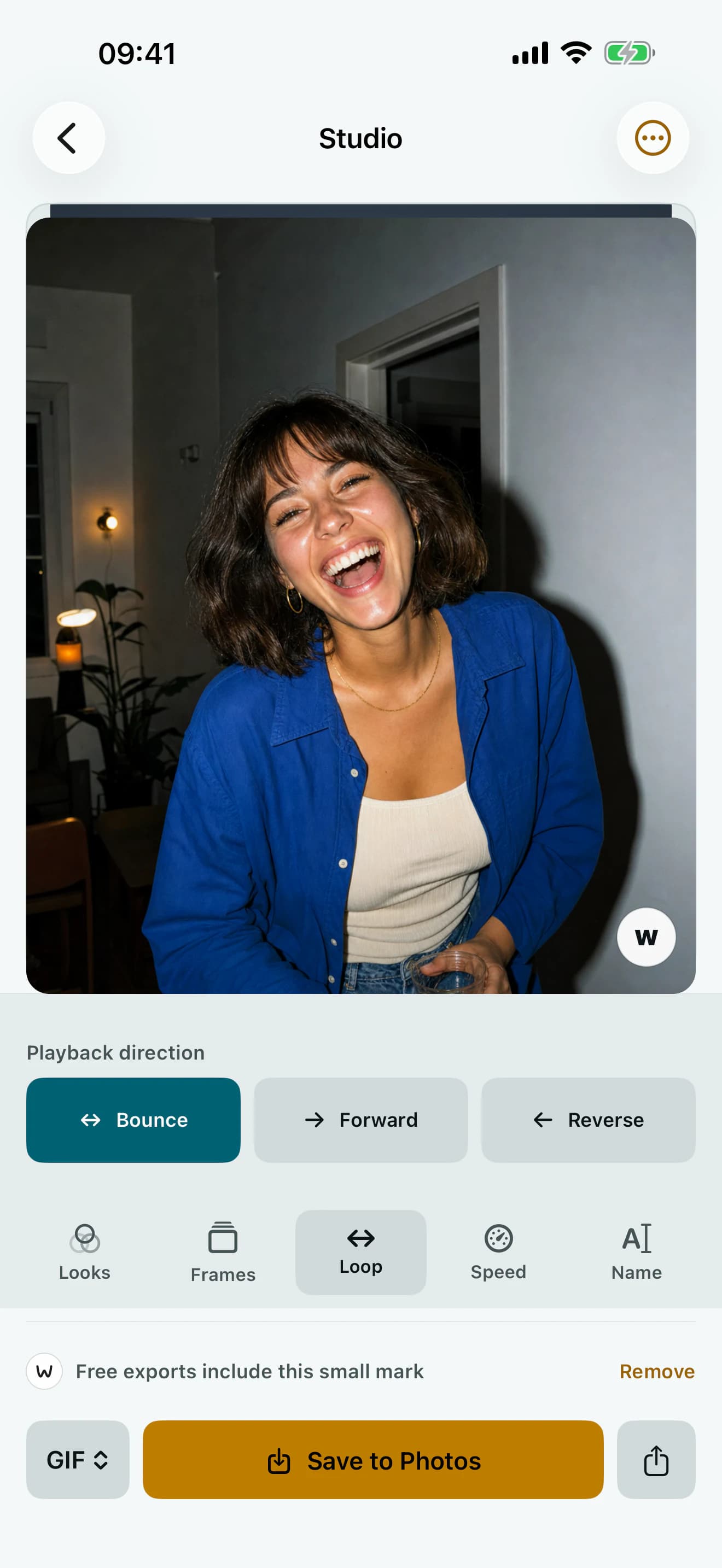 Wigglegram Studio playback controls for bounce, forward, and reverse loops